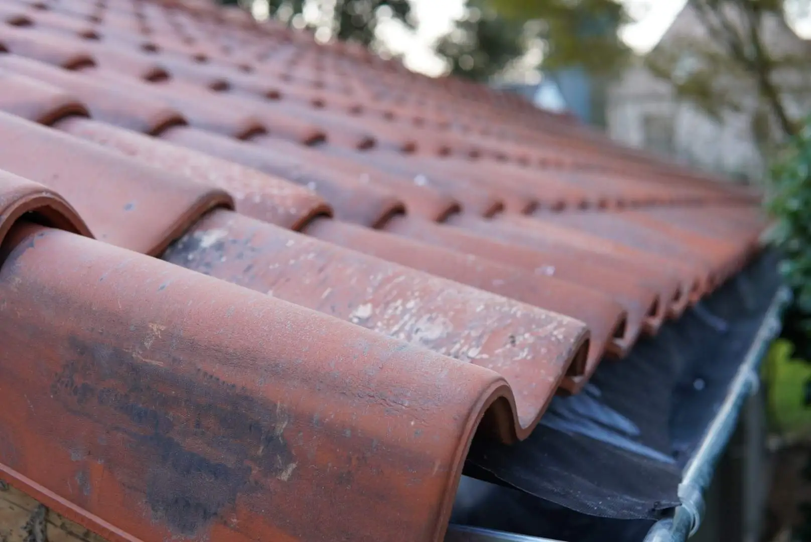 Lees meer over het artikel Een rustiek dak? Kies een klassieke terracotta dakpan.